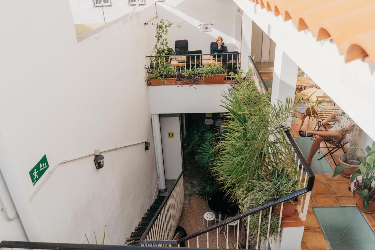 Puerto Nest Hostel Puerto de la Cruz  Extérieur photo
