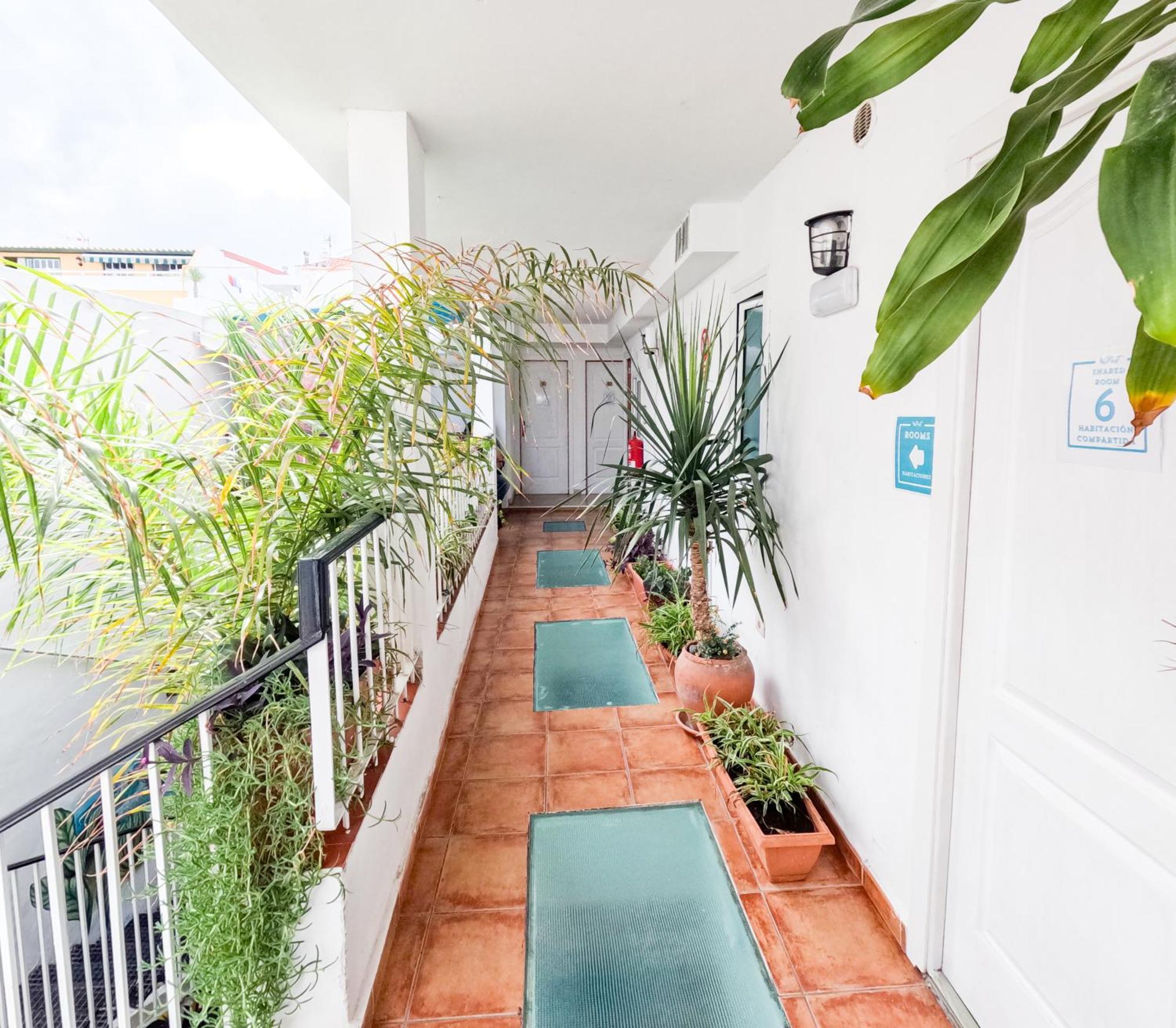 Puerto Nest Hostel Puerto de la Cruz  Extérieur photo